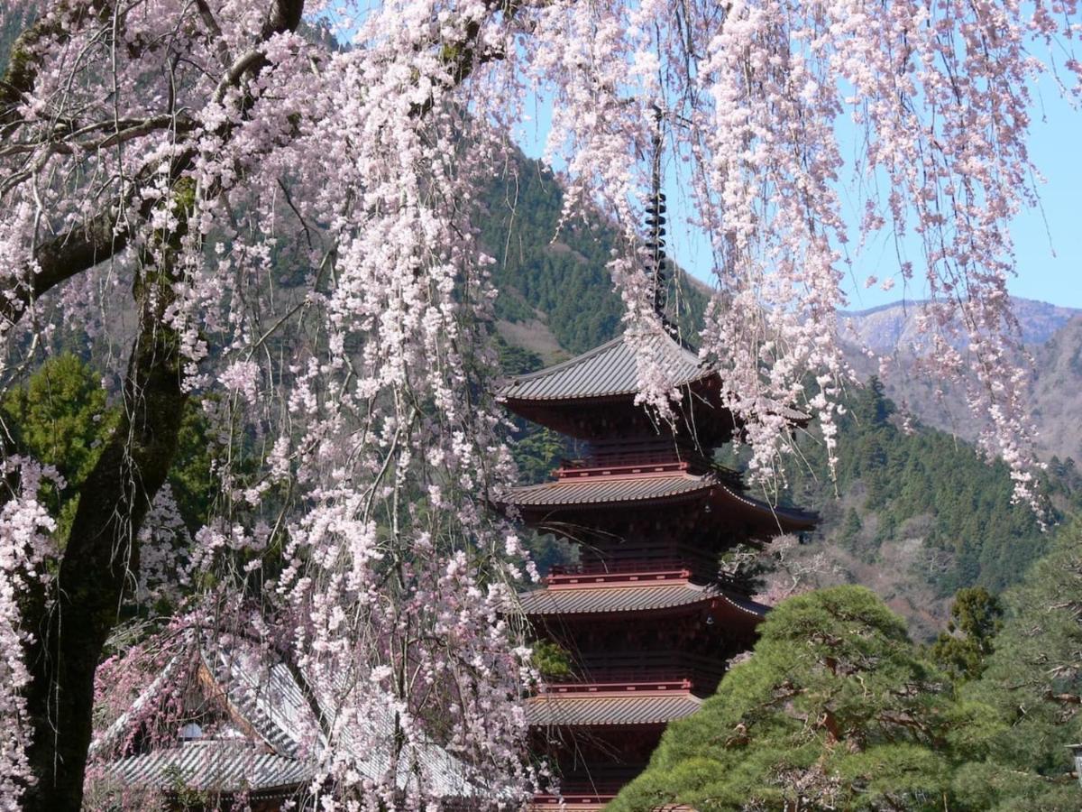 宿坊 端場坊｜Temple Hotel Habanobo Minobu Екстер'єр фото